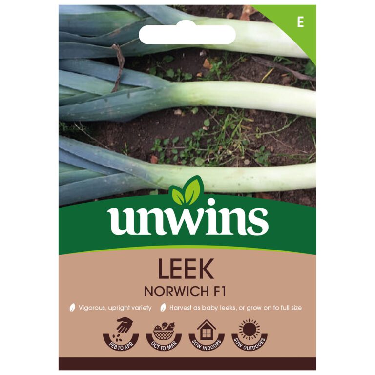 5051618038317 1 Leek Norwich F1 Seeds.jpg